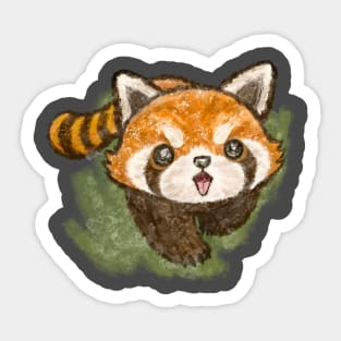 Red panda is coming Sticker